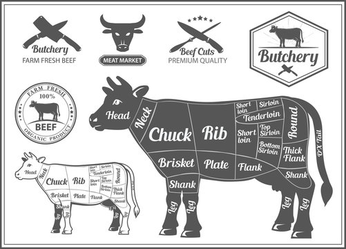 Beef cuts and logo for butcher shop poster