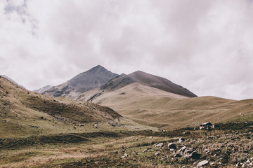 Fototapeta premium Close up view mountains scenes in national park Dombai, Caucasus