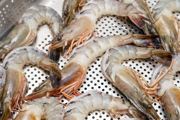 Closeup fresh royal raw shrimps with heads on professional perforated gastronorm container are ready to be baked in the oven in restaurant's kitchen. Concept preparation for seafood dish