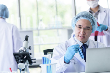 Fototapeta premium Asian senior scientist male researching and learning in a laboratory.
