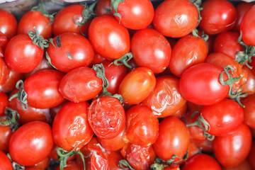 Closeup plenty crumpled red ripe cherry tomatoes together with stems are awaiting distribution in box on farmers market. Concept of selling vegetables in supermarket, grocery store