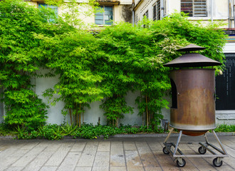 Bamboo garden of Chinese temple