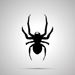 Insect icon, simple black silhouette