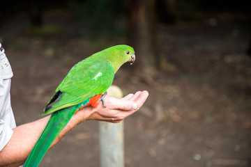 Adelaide to Melbourne