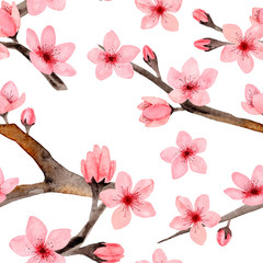 Seamless Pattern of hand drawn watercolor cherry blossom, delicate flowers. Japanese Sakura. Design for wedding invitation, fabric, packaging, textile, cover, postcard, paper, greeting cards, blog.