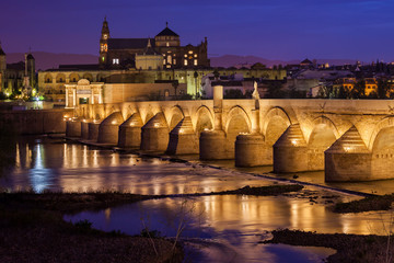Fototapeta na wymiar Bridge and Mosque Cathedral of Cordoba at Night