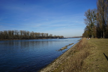 Rhein