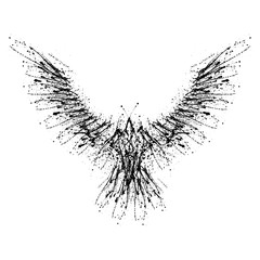 Black blots raven