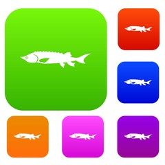 Fresh sturgeon fish set icon in different colors isolated vector illustration. Premium collection