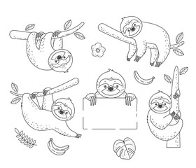 Set of outline sloth sitting on a branch. Coloring Pages © romalya