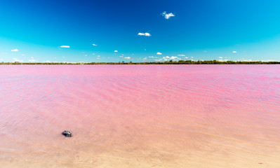Fototapeta na wymiar Pink Lake Australia