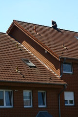 Roofer at work on the roof