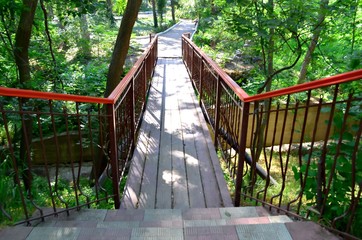 wooden bridge in the forest