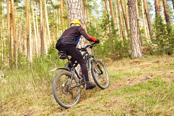 Fototapeta na wymiar cyclist riding a mountain bike along forest road