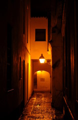 Lonely alley during the nightime