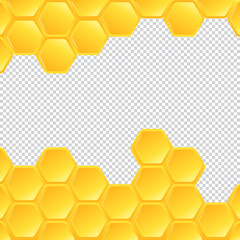 Honeycombs on transparent background