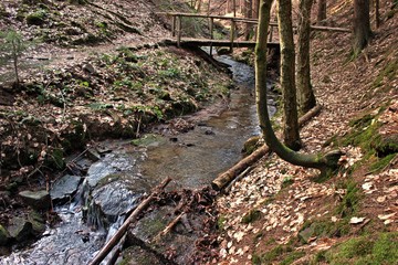 Die Lochbachklamm im Kn&uuml;ll
