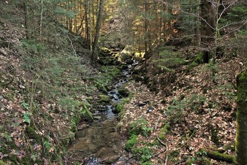 Die Lochbachklamm im Knüll