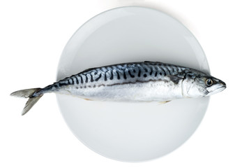Mackerel on a white plate isolated on white. Popular seafood.