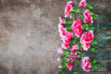 View of blooming pink carnation flowers on old rustic wooden background. Hello spring floral background. Happy Valentines, Mother's or Woman's day background.