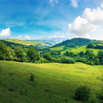 beautiful countryside summer landscape. forested rolling hill with grassy meadow. village in the valley. blue sky with fluffy clouds. mountain ridge in the distance. sunny weather