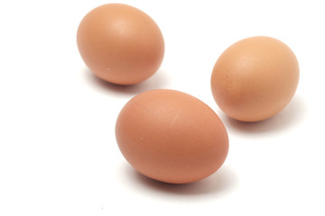 Many eggs on a white scene