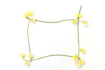 花のフレーム　Beautiful flowers of the frame