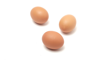 Many eggs on a white scene