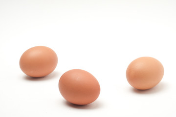 Many eggs on a white scene