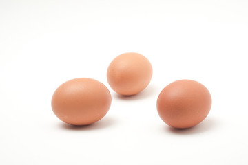 Many eggs on a white scene