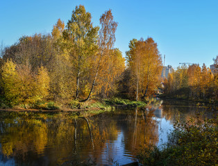 Golden autumn on the river Slavyanka in St. Petersburg. Different trees in the autumn beautiful decoration.