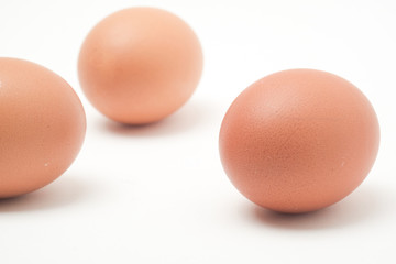 Many eggs on a white scene