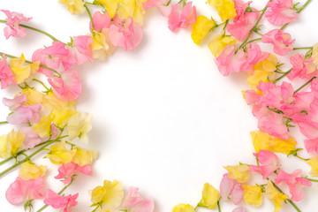 花のフレーム　Beautiful flowers of the frame