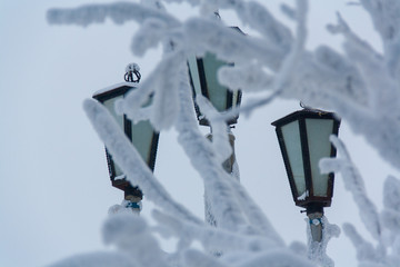 Lamppost behind a tree covered white snow. Norilsk