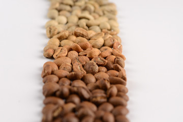 Coffee beans with different types of roast