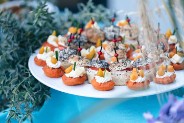 Gourmet appetizers for festive reception and high-end weddings on a blue background