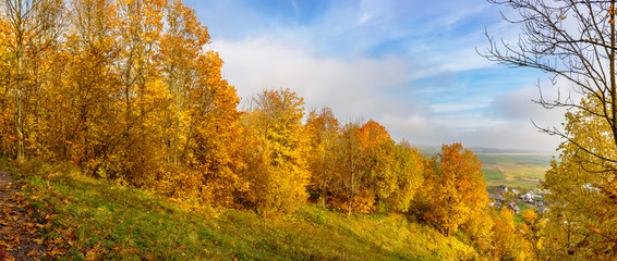 Upland Park is a landscape Park occupying the Orekhovaya mountain (174.2 m) at the Duderhof heights in Krasnoselsky district of St. Petersburg.
