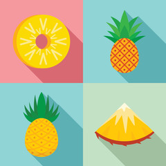 Pineapple icons set. Flat set of pineapple vector icons for web design