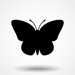 Vector - Butterfly conceptual simple, colorful icon. Logo. Vector illustration