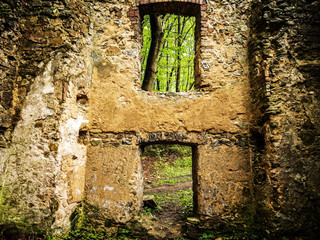 Ruiny starego opuszczonego budynku w lesie w Polsce