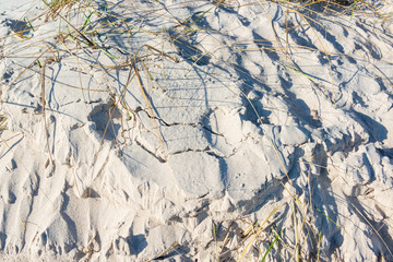 Sandtextur für Hintergründe