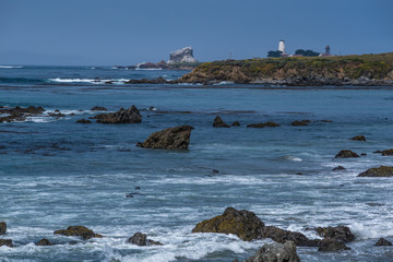 Pacific Coast Highway (Highway 1), Big Sur, Morro, Cambria, Elephant Seals, California