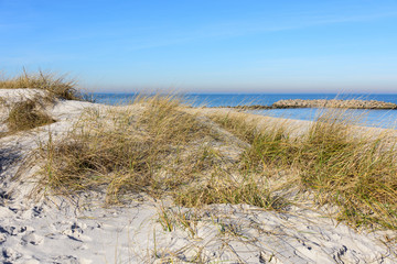 Strand und Düne  als Küstenbefestigung  bei Heidkate an der Ostsee in Schleswig-Holsten