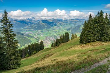 Rural landscape near Gstaad, summer view from the Wispile