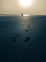 Vacation to Beach Shore coastline
