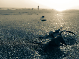 Vacation to Beach Shore coastline