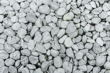 White pebbles on the bottom of the pool.