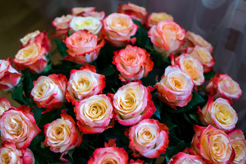 Obraz na płótnie Canvas Pink roses in a bouquet