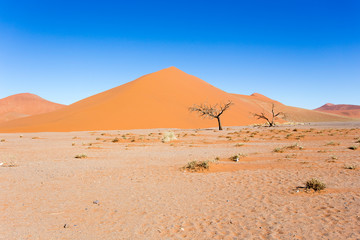 Fototapeta na wymiar Beautiful red dune