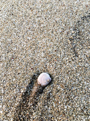 Vacation to Beach Shore coastline